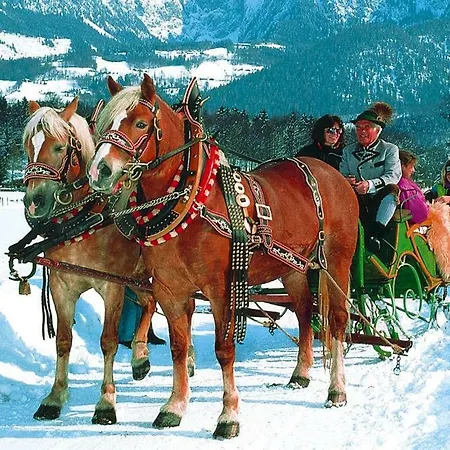 Alpenland - Dal05500-dyc *